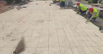 泰安黄金麻荔枝面地铺案例