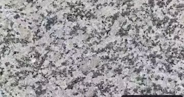 泰安 芙蓉白（芝麻白大花）火烧面