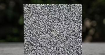 泰安 芝麻黑荔枝面