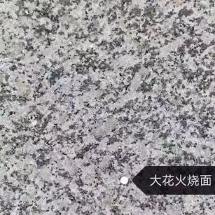 泰安 芙蓉白（芝麻白大花）火烧面