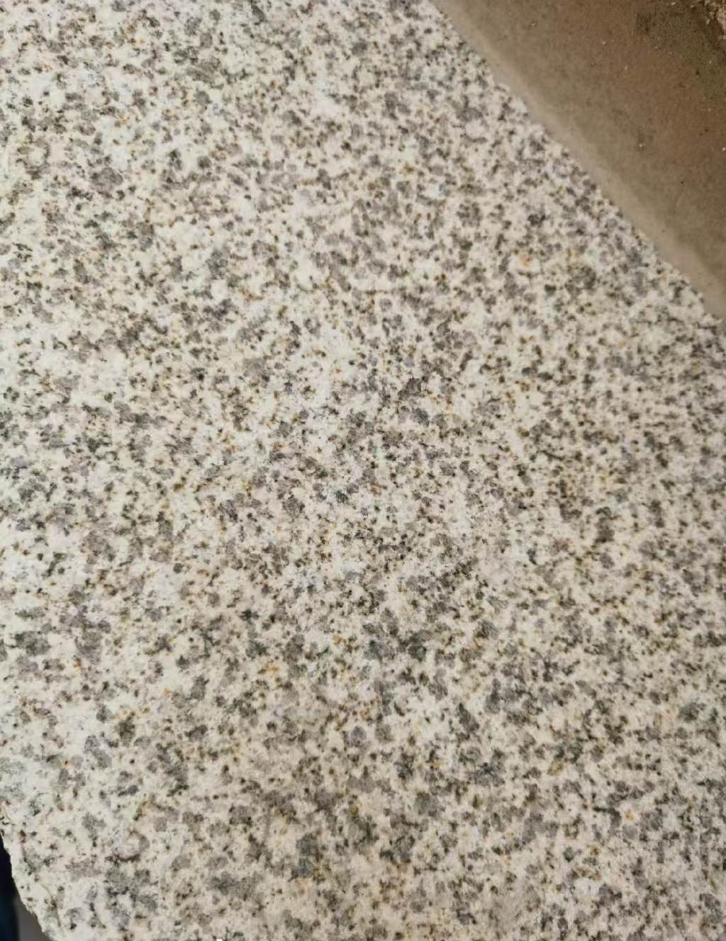 泰安 黄金麻中黄光面
