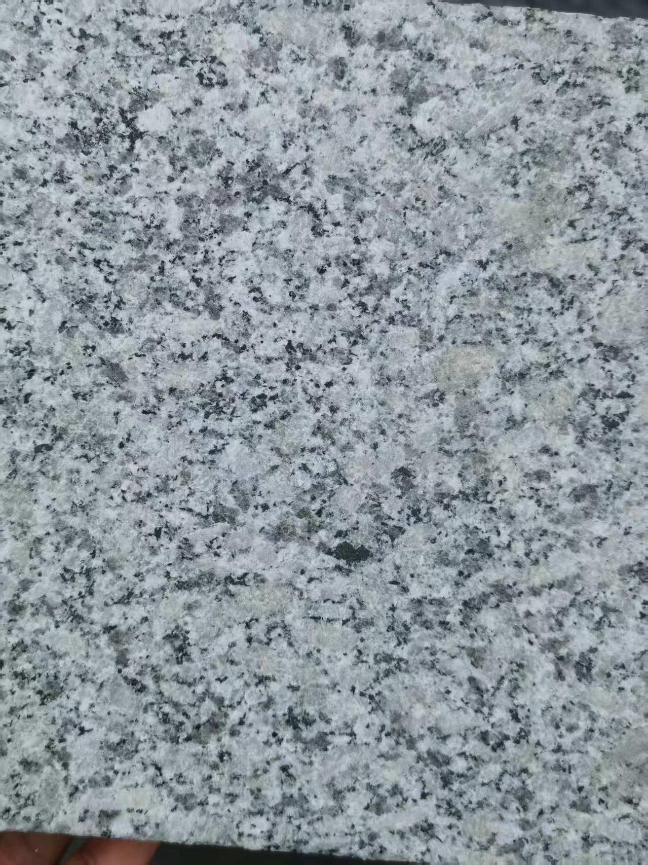 泰安 芙蓉白火烧面