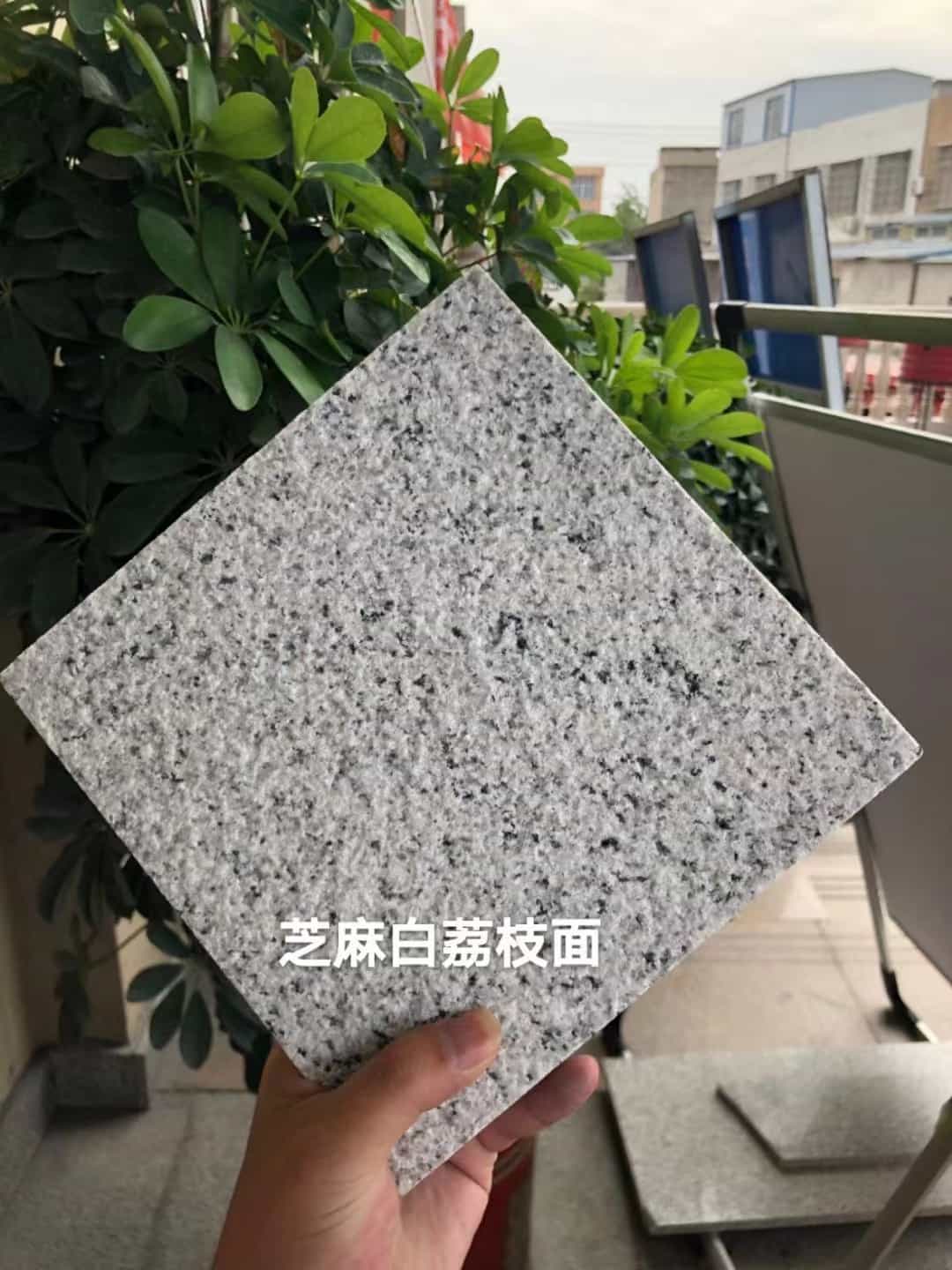 泰安 芝麻白荔枝面干挂