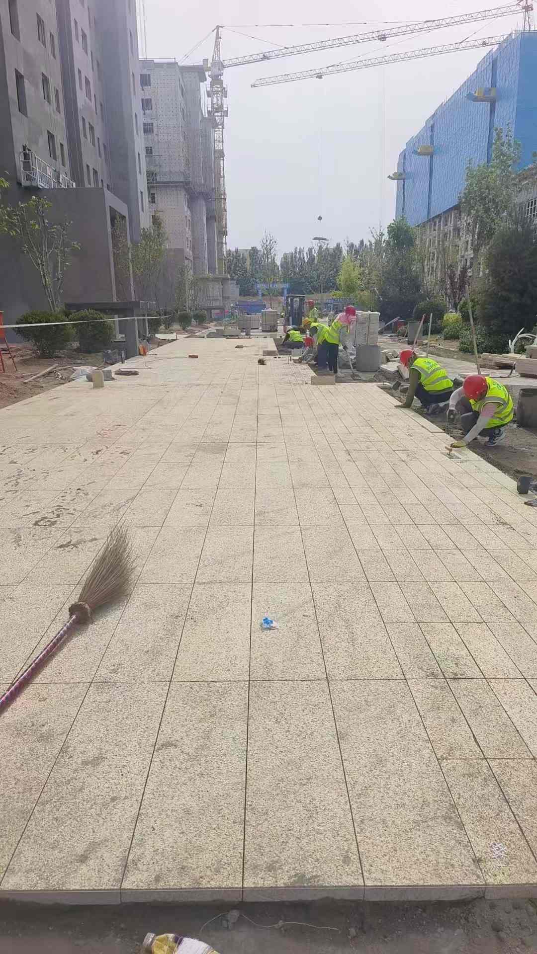 泰安黄金麻荔枝面地铺案例